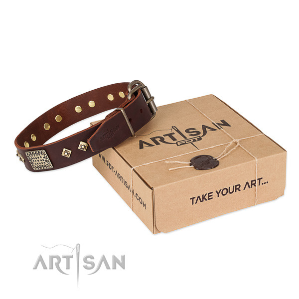 Incredible full grain natural leather collar for your lovely dog