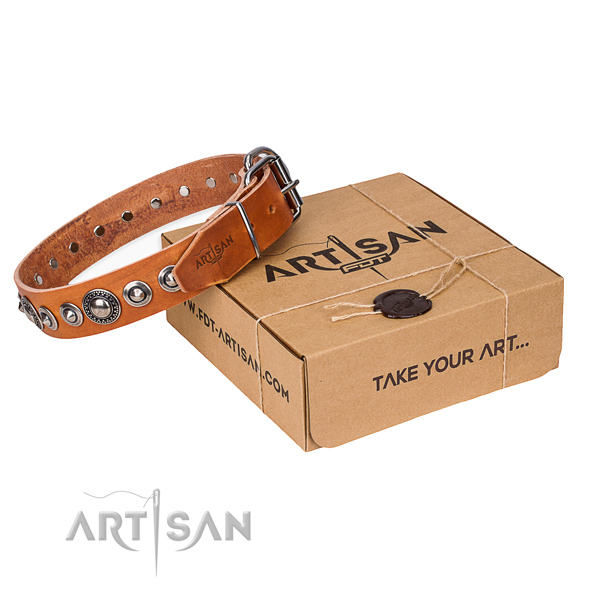 Full grain leather dog collar made of gentle to touch material with durable fittings