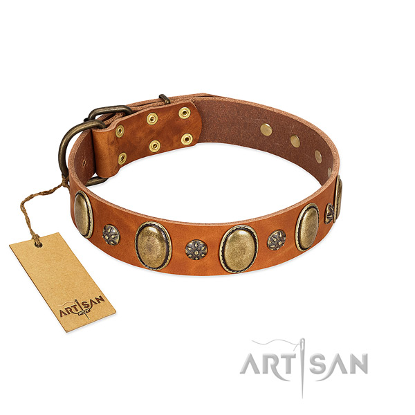 Daily use flexible leather dog collar with adornments
