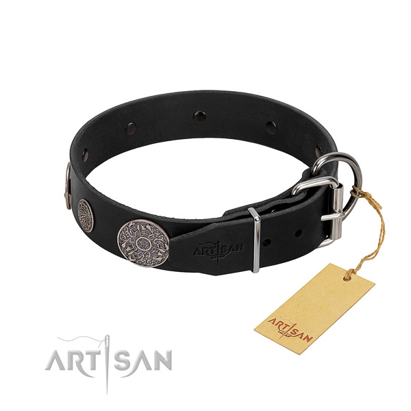 Rust resistant studs on full grain genuine leather dog collar