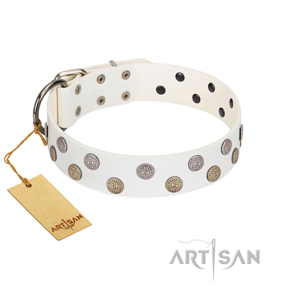 Amazing adornments on genuine leather collar for comfy wearing your pet