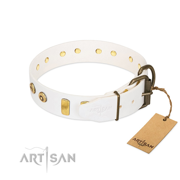 Significant studded full grain natural leather dog collar of top notch material