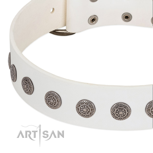 Unusual full grain natural leather collar with adornments for your four-legged friend