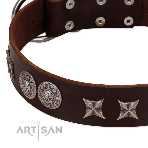 Comfortable natural leather dog collar with rust-proof fittings
