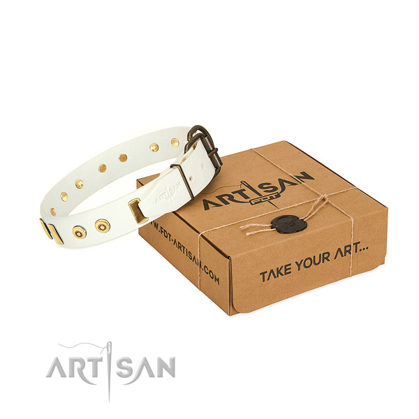 Full grain leather dog collar with stylish design adornments for stylish walking