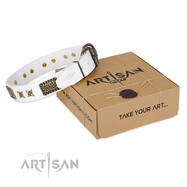 Strong traditional buckle on genuine leather collar for your lovely canine