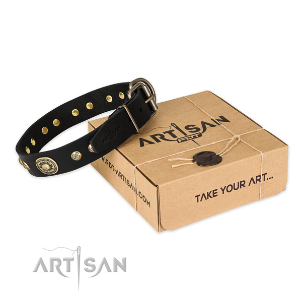 Durable traditional buckle on leather dog collar for everyday walking