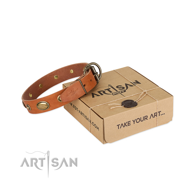 Reliable studs on full grain leather dog collar for your dog