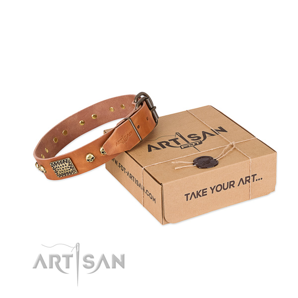 Rust resistant embellishments on dog collar for everyday walking