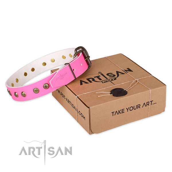 Reliable buckle on leather collar for your lovely doggie