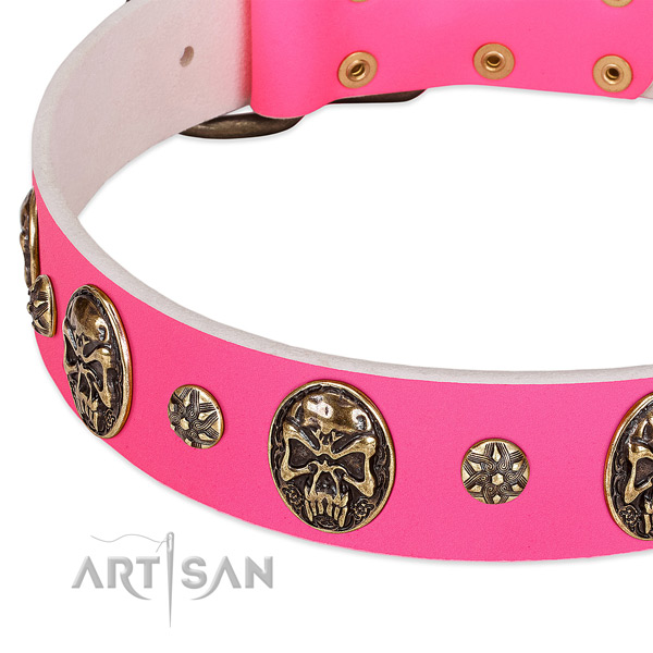 Perfect fit dog collar created for your beautiful doggie