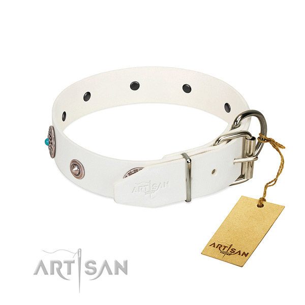 Exquisite embellished leather dog collar