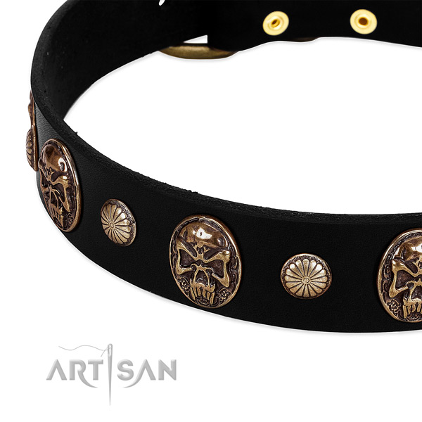 Leather dog collar with awesome studs