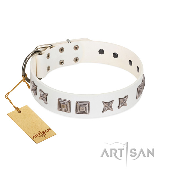 Leather dog collar with amazing decorations made dog