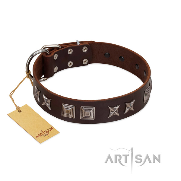 Genuine leather dog collar with awesome adornments handmade pet