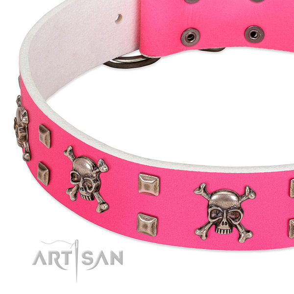 Rust-proof studs on full grain natural leather dog collar