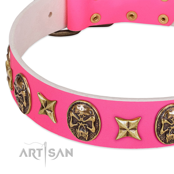 Natural leather dog collar with stylish decorations
