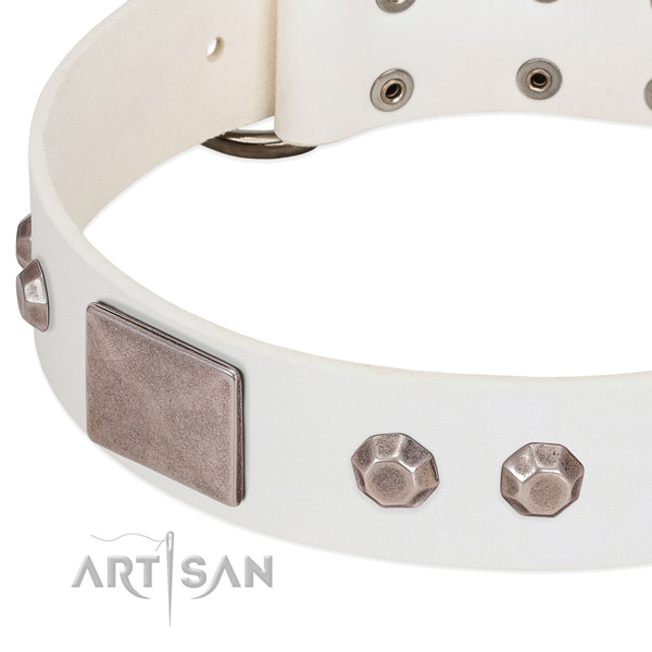 Durable full grain leather dog collar with adornments