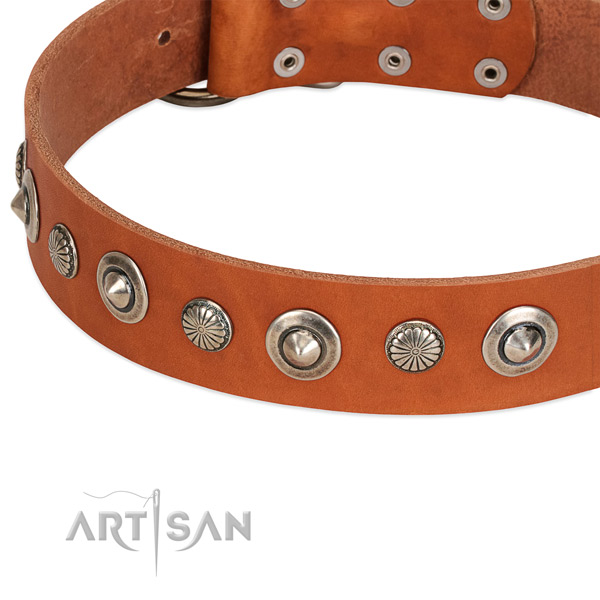 Full grain leather collar with rust-proof hardware for your lovely pet