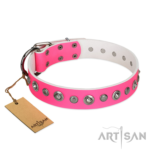 Top notch genuine leather dog collar with extraordinary studs