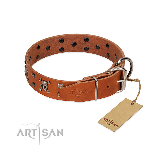 Walking soft natural leather dog collar with embellishments