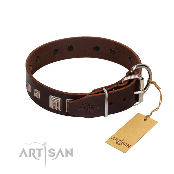 Daily use full grain leather dog collar with fashionable adornments