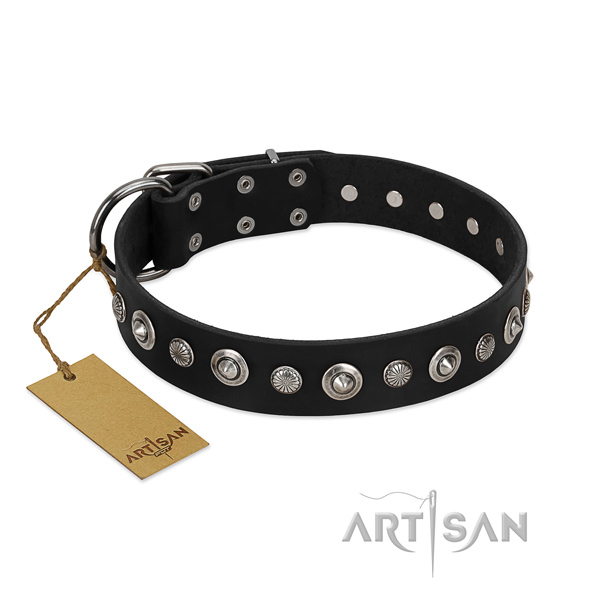 Best quality full grain leather dog collar with trendy decorations