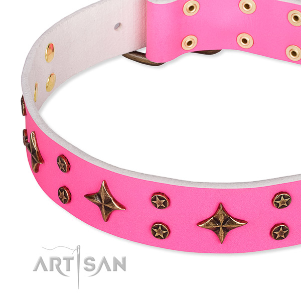 Comfy wearing studded dog collar of reliable full grain natural leather