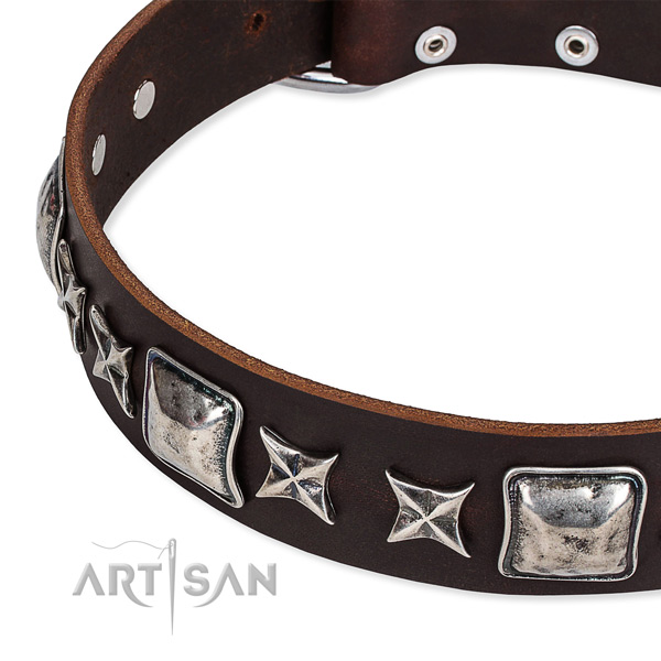 Daily use studded dog collar of high quality full grain natural leather