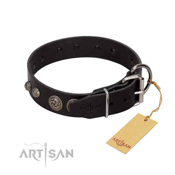 Unusual natural leather dog collar with rust resistant hardware