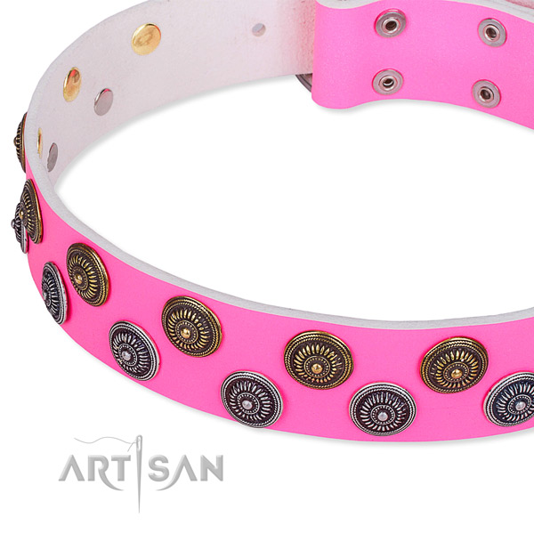 Stylish walking embellished dog collar of fine quality full grain leather