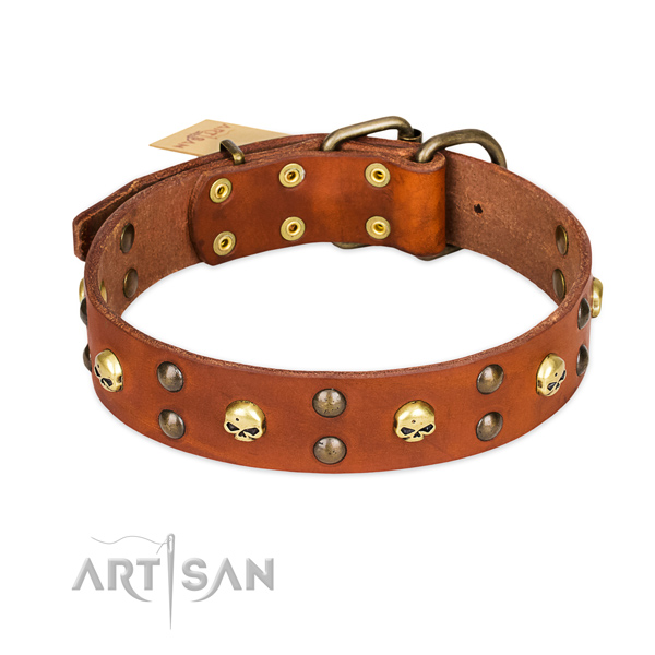 Everyday walking dog collar of reliable full grain natural leather with embellishments