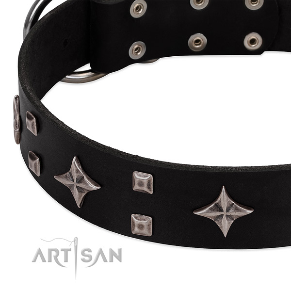 Fine quality genuine leather dog collar for stylish walking