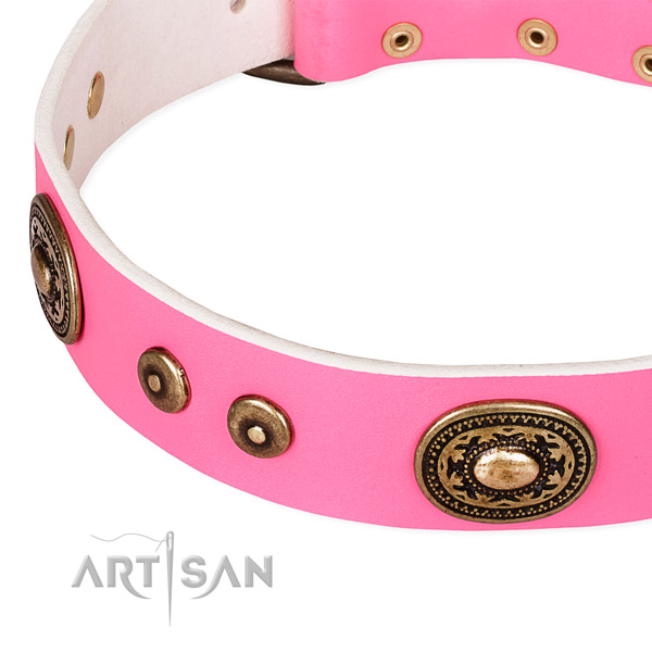 Full grain leather dog collar made of reliable material with adornments