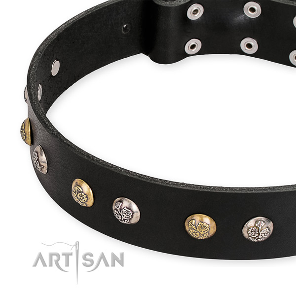 Genuine leather dog collar with stylish reliable embellishments