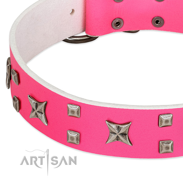 Extraordinary full grain natural leather collar for your four-legged friend everyday walking