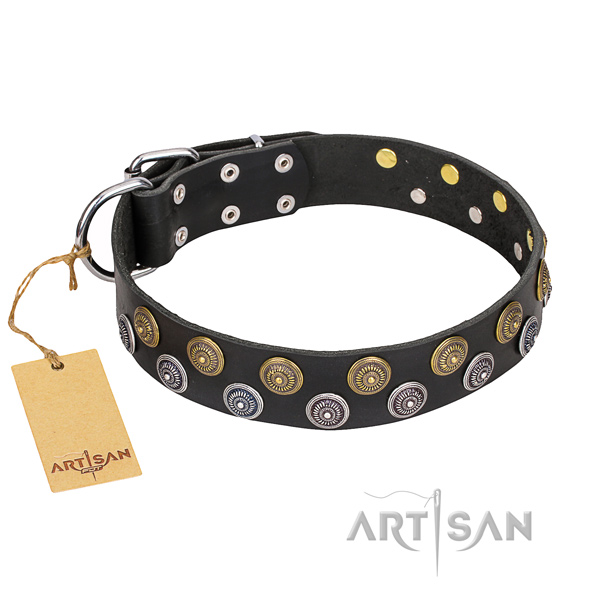 Handy use dog collar of high quality full grain natural leather with studs