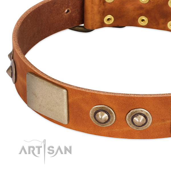 Corrosion proof buckle on full grain leather dog collar for your dog