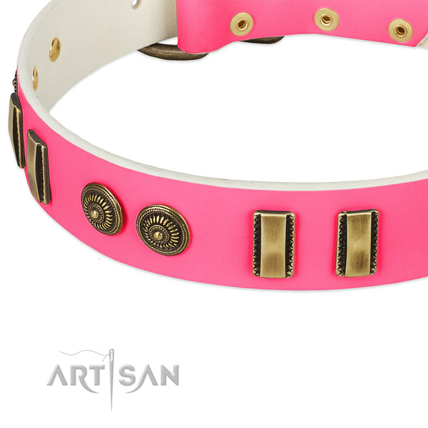 Corrosion proof decorations on leather dog collar for your pet
