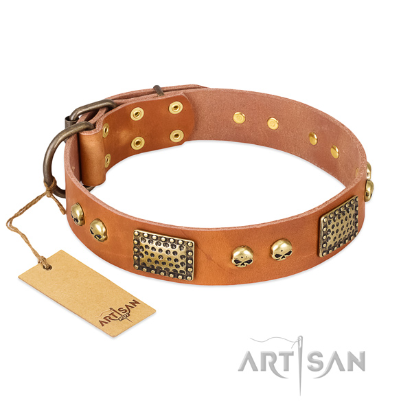 Easy to adjust full grain natural leather dog collar for basic training your dog