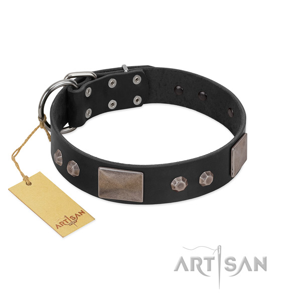 Top notch leather dog collar with reliable buckle