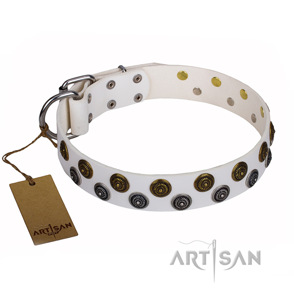 Daily use dog collar of reliable full grain natural leather with decorations
