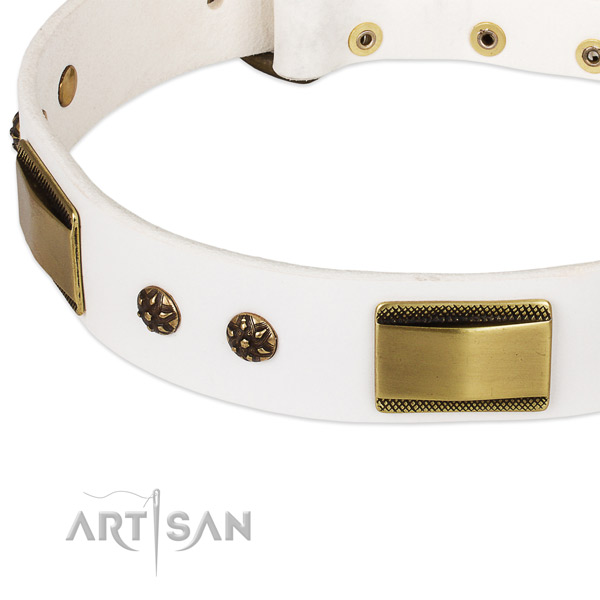 Durable decorations on natural genuine leather dog collar for your canine