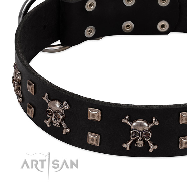 Fashionable collar of genuine leather for your beautiful dog