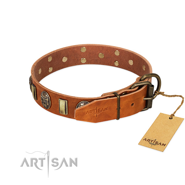 Durable buckle on full grain natural leather collar for walking your canine