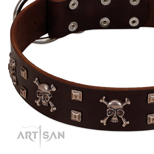 Stylish leather collar for your four-legged friend