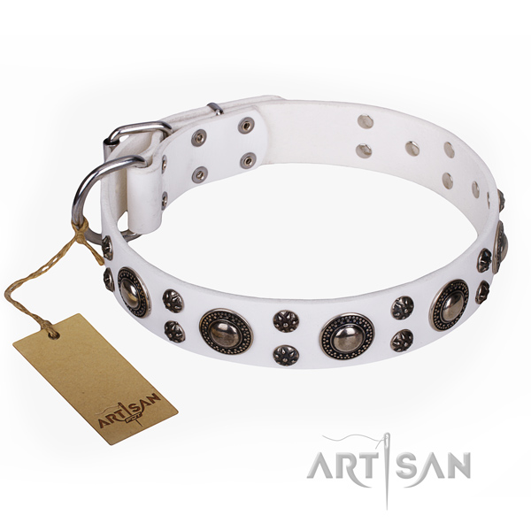 Everyday use dog collar of quality natural leather with decorations