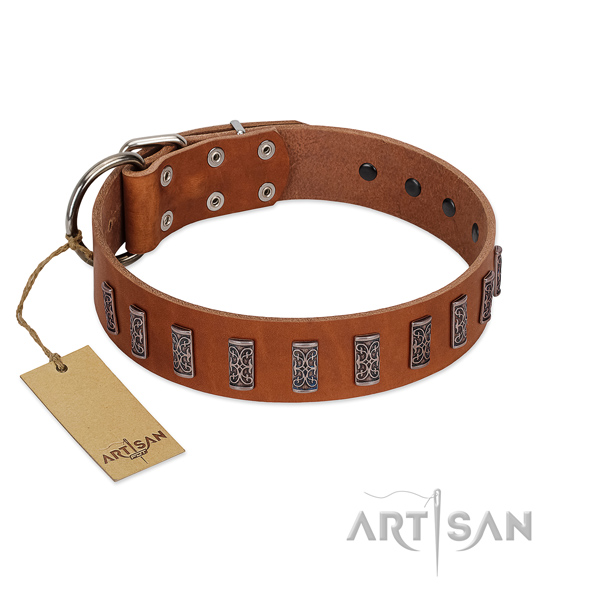 Reliable full grain leather dog collar with corrosion proof traditional buckle