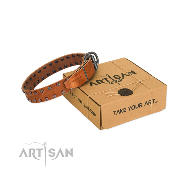 Soft to touch full grain natural leather dog collar with studs for your beautiful four-legged friend