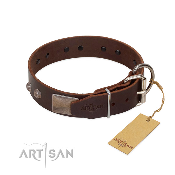 Top notch full grain genuine leather dog collar for everyday walking your dog